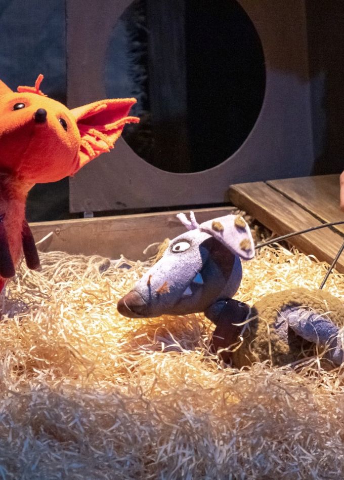 Совсем не хитрый Лис