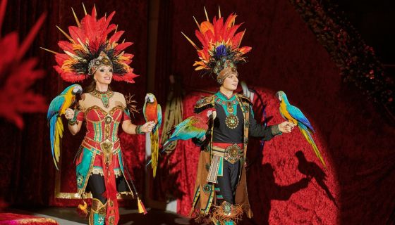 Цирк «Империя львиц»