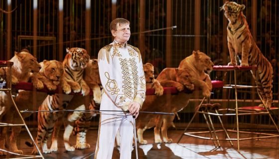 Цирк «Империя львиц»