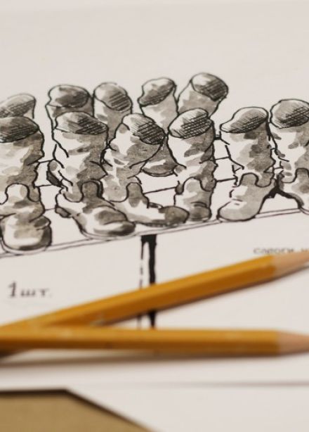 Письма Победы