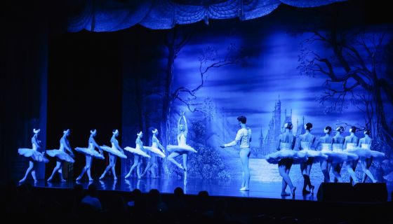 Лето пируэта. Балет «Лебединое озеро»