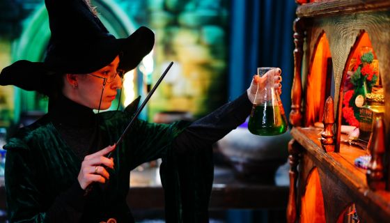 Выставка «Вселенная Гарри Поттера»