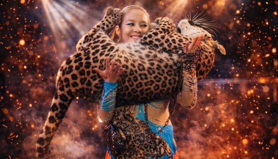 Цирк-шапито «Экстрим-Шоу», Саяногорск